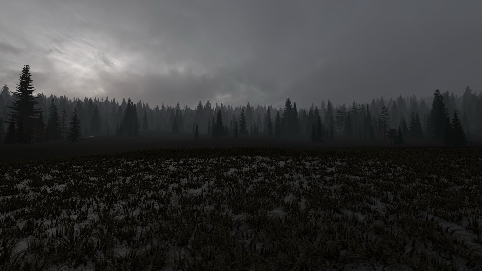 Project Sundown: pines and dead grass in rain
